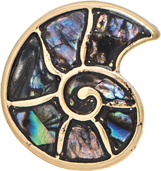 Rain Jewelry | Silver Abalone Shell Nautilus Post Earring