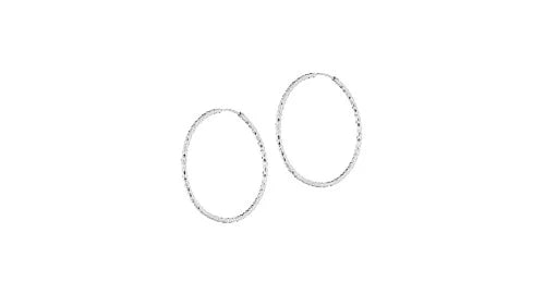 Small Hoop Earrings